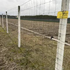 Ogrodzenie z siatki leśnej: Idealna odległość między słupkami