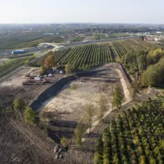 Ile kosztuje budowa stawu rybnego? Poznaj ceny i wydatki