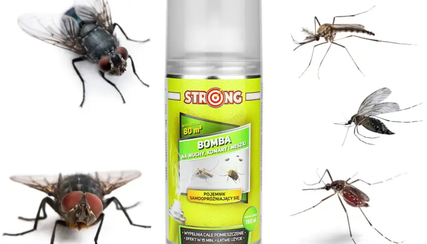Jak pozbyć się much na tarasie: 8 skutecznych sposobów