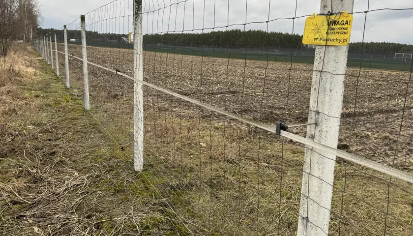 Ogrodzenie z siatki leśnej: Idealna odległość między słupkami