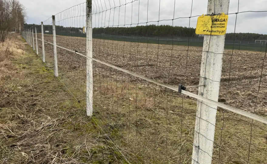 Ogrodzenie z siatki leśnej: Idealna odległość między słupkami